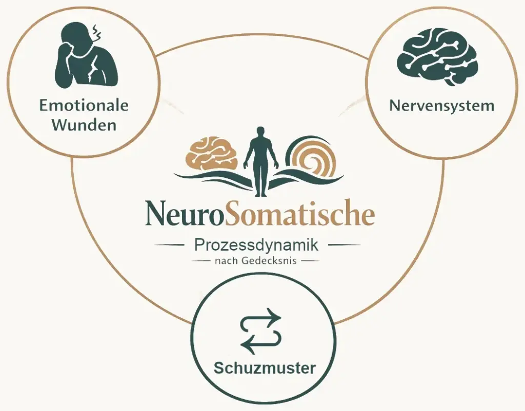 Die NeuroSoamtische Prozeedynamik (NSPD) nach Gedecksnis