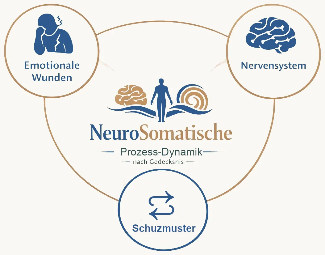 NSPD NeuroSomatische Prozess-Dynamik nach Gedecksnis